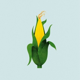 Corn in Everything and Does It Matter? featured image