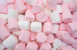 Why You Shouldn’t Give Marshmallows to Young Kids featured image
