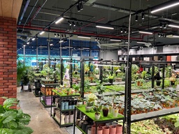 Clementi’s new hotspot: Far East Flora Centre, a multi-storey gardening hub with cafe and wholesale market featured image